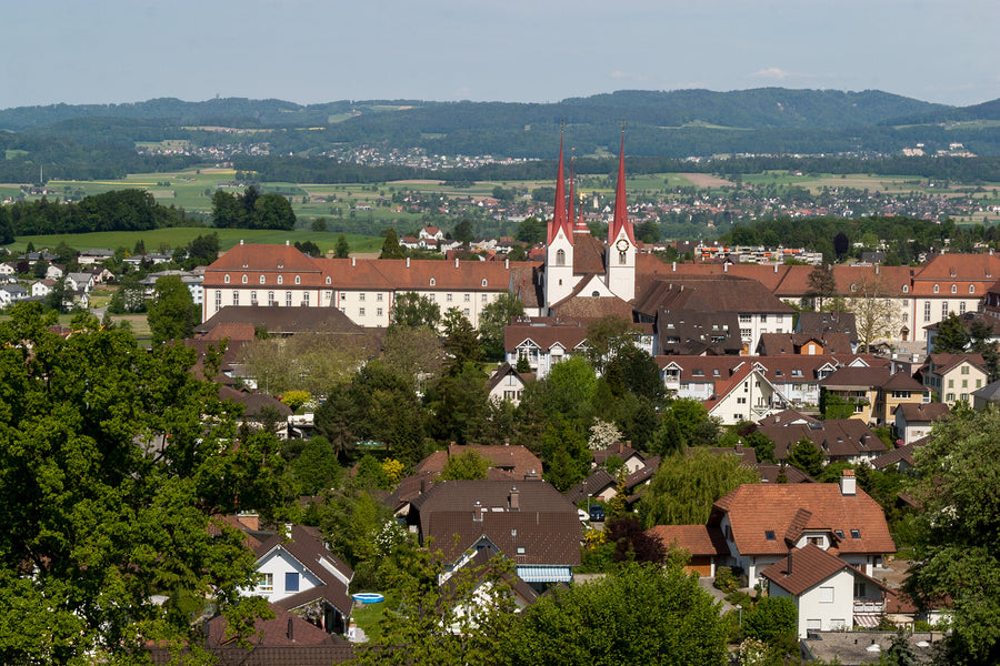 Muri