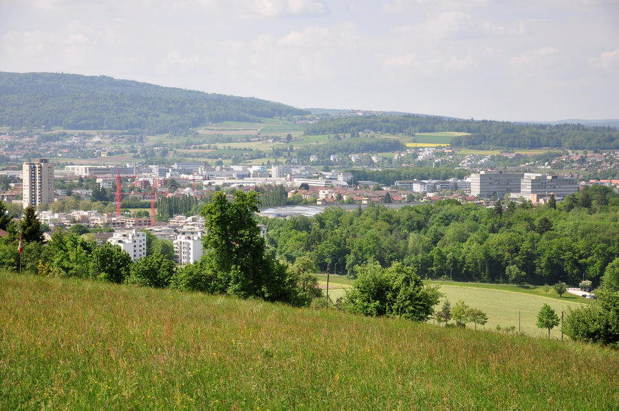 Regensdorf, Dielsdorf, Oberglatt und Niederglatt