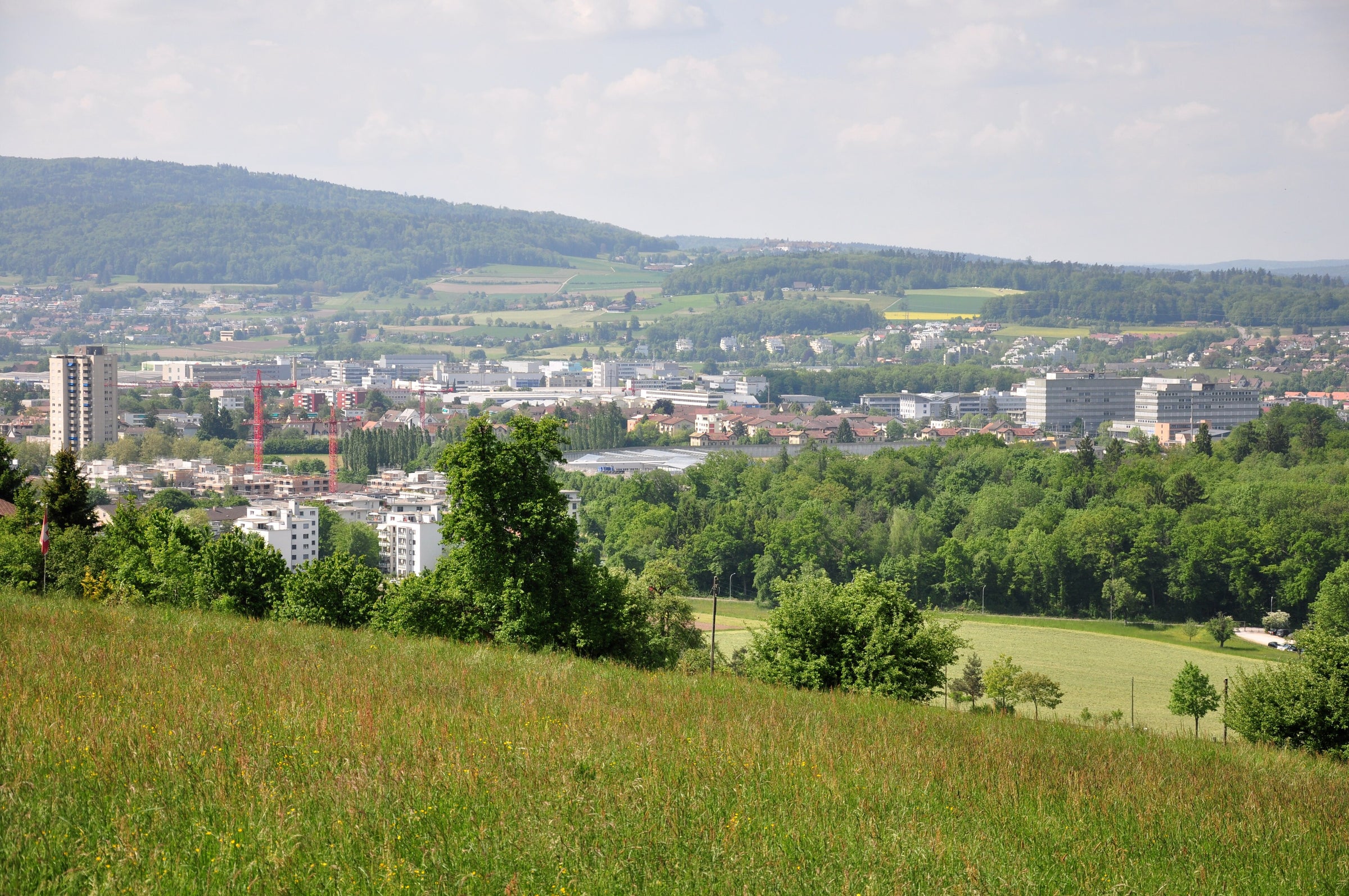 Physiotherapie zuhause in Regensdorf, Dielsdorf, Oberglatt und Niederglatt