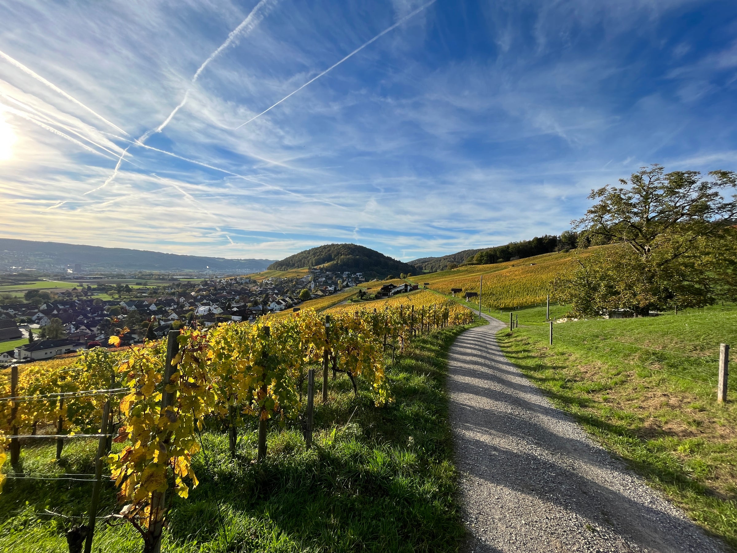 Physiotherapie zuhause in Weiningen, Oetwil an der Limmat Und Unterengstringen