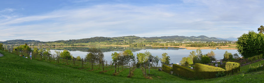 Uster, Wetzikon & Hinwil